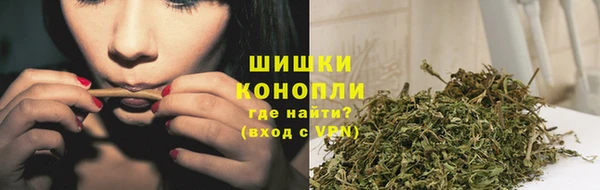 ГАЛЛЮЦИНОГЕННЫЕ ГРИБЫ Орехово-Зуево