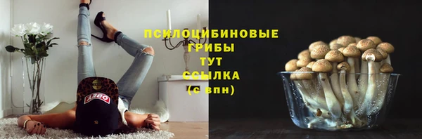 хмурый Козловка