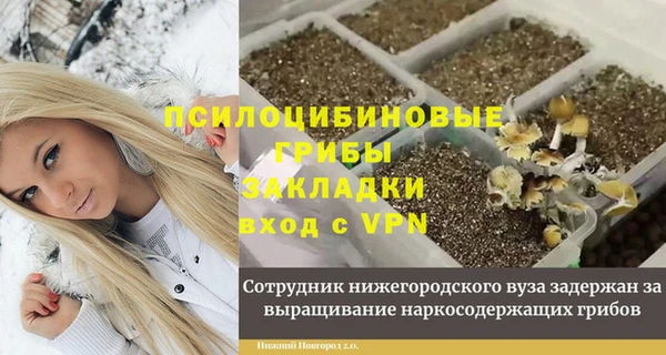 герыч Долгопрудный