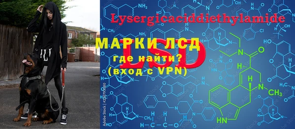 герыч Долгопрудный