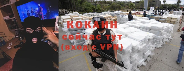 хмурый Козловка